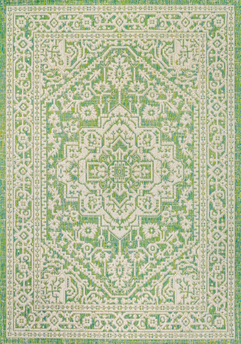 Luke Medallion Textured Weave Indoor/outdoor Area Rug